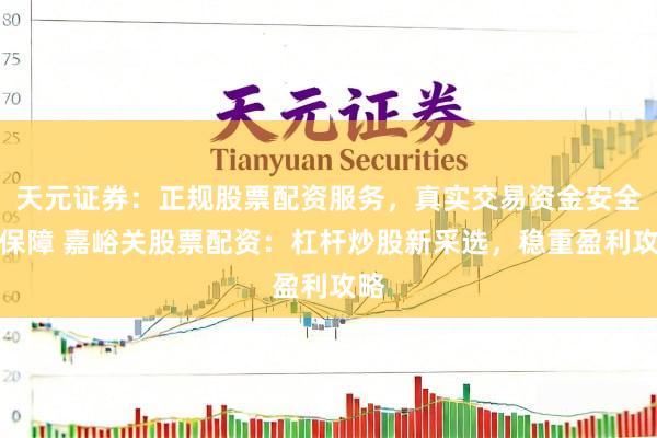 天元证券：正规股票配资服务，真实交易资金安全有保障 嘉峪关股票配资：杠杆炒股新采选，稳重盈利攻略