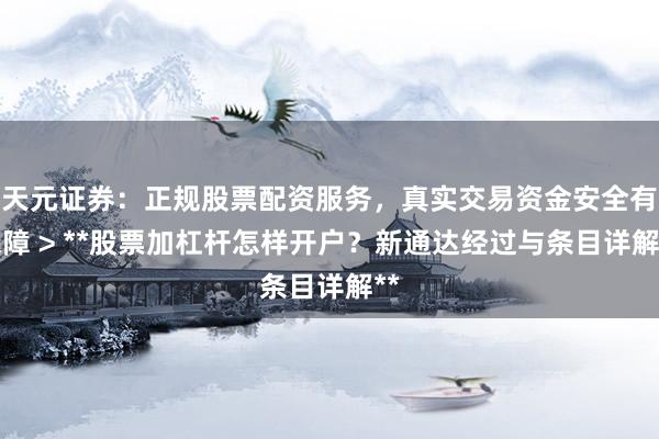 天元证券：正规股票配资服务，真实交易资金安全有保障 > **股票加杠杆怎样开户？新通达经过与条目详解**